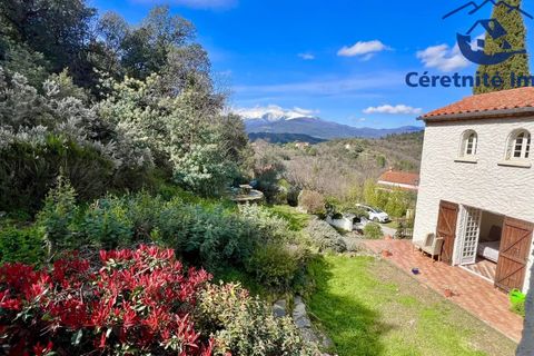 Villa a Ceret, Pyrenees-Orientales, Ceret - € 990.000 | Ref: 1073 - foto 33