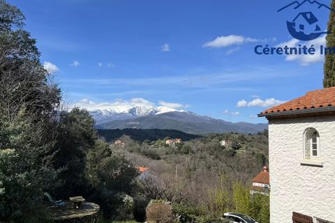 Villa a Ceret, Pyrenees-Orientales, Ceret - € 990.000 | Ref: 1073 - foto 37