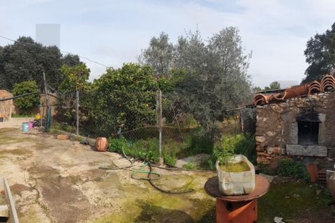 Villa a Pias, Beja, Pias - € 99.900 | Ref: KWPT-012077 - foto 22