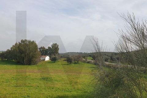 Villa a Pias, Beja, Pias - € 99.900 | Ref: KWPT-012077 - foto 26