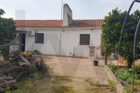 Villa a Pias, Beja, Pias - € 99.900 | Ref: KWPT-012077 - foto 27