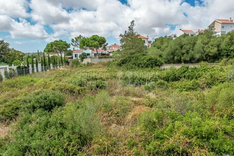 Helårsgrund i Sintra, Lisbon, Sintra - € 495.000 | Ref: PROP-32025 - foto 16