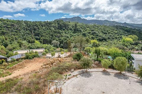 Helårsgrund i Sintra, Lisbon, Sintra - € 590.000 | Ref: PROP-32023 - foto 9