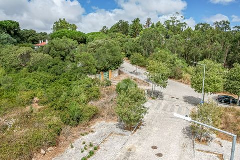 Helårsgrund i Sintra, Lisbon, Sintra - € 590.000 | Ref: PROP-32023 - foto 11