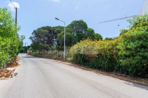 Helårsgrund i Cascais, Lisbon, Cascais - € 3.300.000 | Ref: PROP-006299 - foto 13