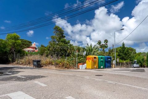 Helårsgrund i Cascais, Lisbon, Cascais - € 3.300.000 | Ref: PROP-006299 - foto 17
