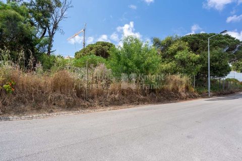 Helårsgrund i Cascais, Lisbon, Cascais - € 3.300.000 | Ref: PROP-006299 - foto 18