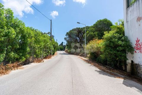 Helårsgrund i Cascais, Lisbon, Cascais - € 3.300.000 | Ref: PROP-006299 - foto 20