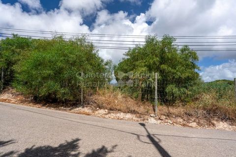 Helårsgrund i Cascais, Lisbon, Cascais - € 3.300.000 | Ref: PROP-006299 - foto 23