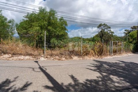 Helårsgrund i Cascais, Lisbon, Cascais - € 3.300.000 | Ref: PROP-006299 - foto 24
