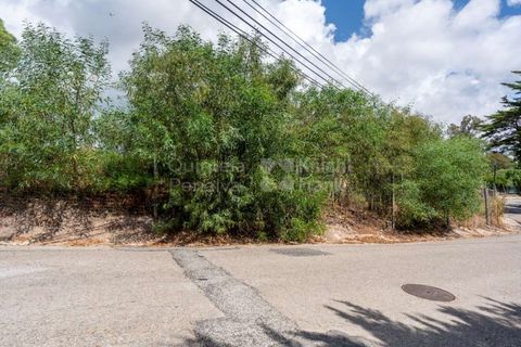 Helårsgrund i Cascais, Lisbon, Cascais - € 3.300.000 | Ref: PROP-006299 - foto 25