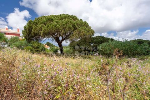 Helårsgrund i Cascais, Lisbon, Cascais - € 3.300.000 | Ref: PROP-006299 - foto 26