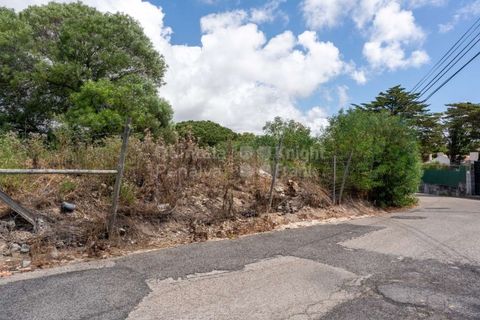 Helårsgrund i Cascais, Lisbon, Cascais - € 3.300.000 | Ref: PROP-006299 - foto 28