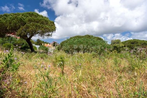Helårsgrund i Cascais, Lisbon, Cascais - € 3.300.000 | Ref: PROP-006299 - foto 29