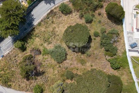 Helårsgrund i Cascais, Lisbon, Cascais - € 3.300.000 | Ref: PROP-006299 - foto 31