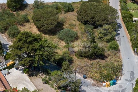 Helårsgrund i Cascais, Lisbon, Cascais - € 3.300.000 | Ref: PROP-006299 - foto 32