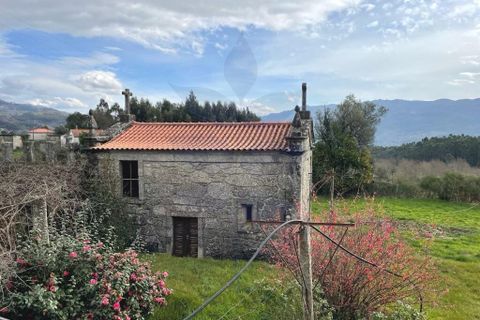 Farm i Vila Verde, Braga, Vila Verde - € 900.000 | Ref: 013-4170 - foto 3