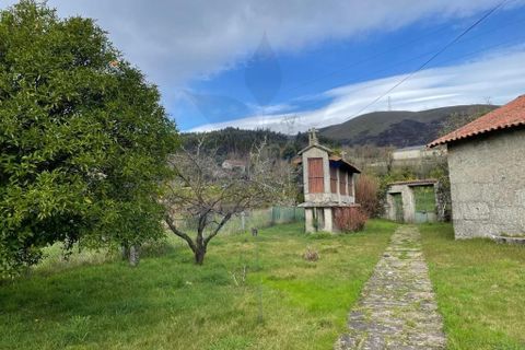 Farm i Vila Verde, Braga, Vila Verde - € 900.000 | Ref: 013-4170 - foto 4