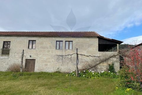 Farm i Vila Verde, Braga, Vila Verde - € 900.000 | Ref: 013-4170 - foto 5