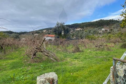 Farm i Vila Verde, Braga, Vila Verde - € 900.000 | Ref: 013-4170 - foto 11