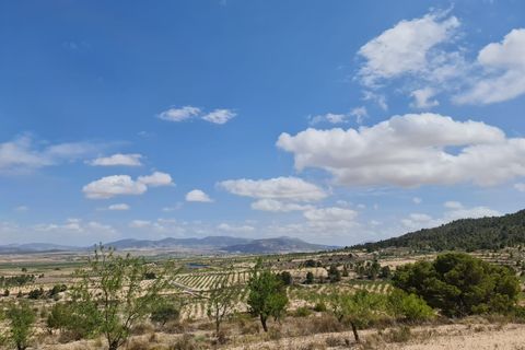 Helårsgrund i Yecla, Murcia, Yecla - € 59.995 | Ref: 1008c2503 - foto 3