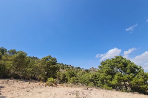 Helårsgrund i Yecla, Murcia, Yecla - € 59.995 | Ref: 1008c2503 - foto 9