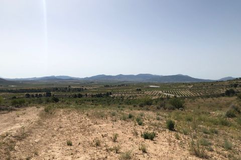 Helårsgrund i Yecla, Murcia, Yecla - € 59.995 | Ref: 1008c2503 - foto 13
