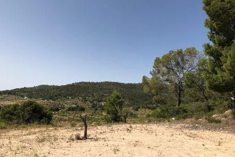 Helårsgrund i Yecla, Murcia, Yecla - € 59.995 | Ref: 1008c2503 - foto 14