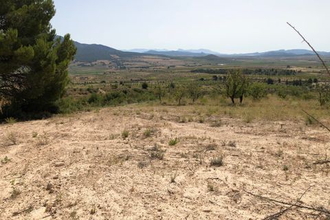 Helårsgrund i Yecla, Murcia, Yecla - € 59.995 | Ref: 1008c2503 - foto 15