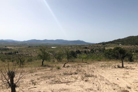 Helårsgrund i Yecla, Murcia, Yecla - € 59.995 | Ref: 1008c2503 - foto 17