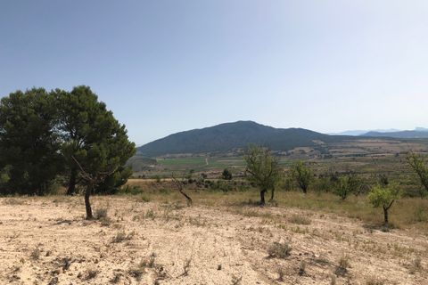 Helårsgrund i Yecla, Murcia, Yecla - € 59.995 | Ref: 1008c2503 - foto 18