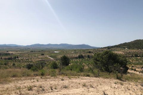 Helårsgrund i Yecla, Murcia, Yecla - € 59.995 | Ref: 1008c2503 - foto 19