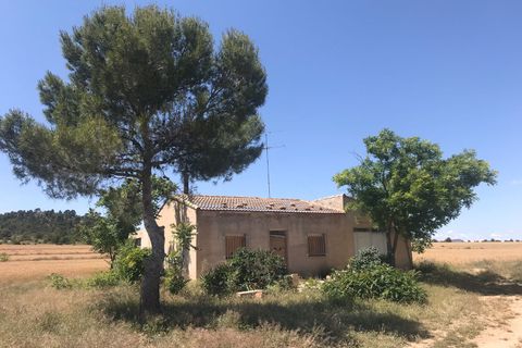 Landejendom i Yecla, Murcia, Yecla - € 280.000 | Ref: 54152-SS - foto 2