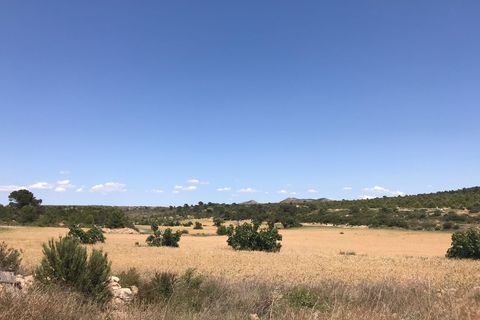 Landejendom i Yecla, Murcia, Yecla - € 280.000 | Ref: 54152-SS - foto 4