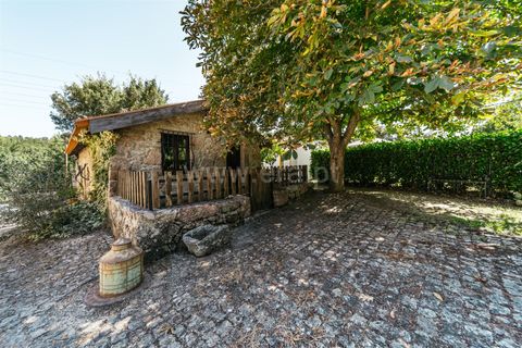 Villa i Covilha, Castelo Branco, Covilha - € 600.000 | Ref: 111240141 - foto 17