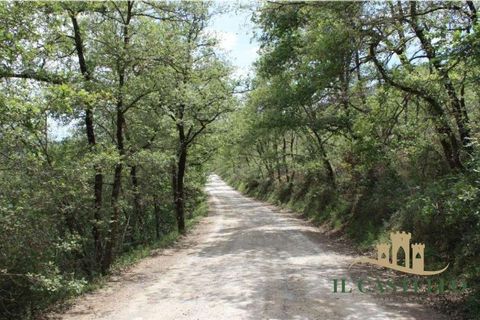 Apartament a Panicale, Perugia, Panicale - € 133.000 | Ref: AP478-472062 - foto 16