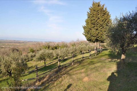 Villa a Paciano, Perugia, Paciano - € 55.000 | Ref: PO201-472941 - foto 6