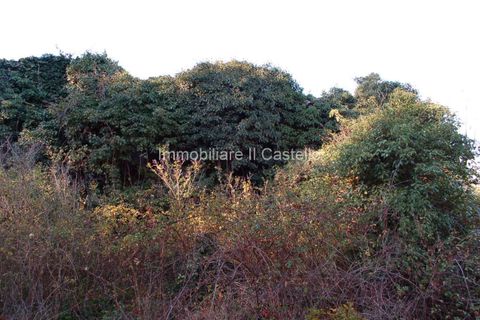 Farm hus i Piegaro, Perugia, Piegaro - € 75.000 | Ref: CR78-473290 - foto 6