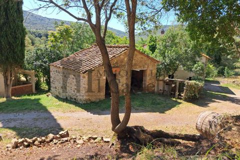 Villa i Panicale, Perugia, Panicale - € 169.000 | Ref: CR199-473302 - foto 2