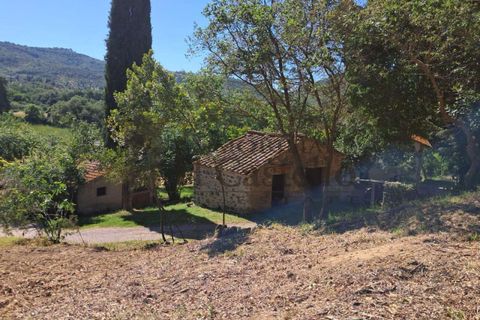 Villa i Panicale, Perugia, Panicale - € 169.000 | Ref: CR199-473302 - foto 8