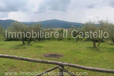 Villa i Panicale, Perugia, Panicale - € 35.000 | Ref: TE52-474871 - foto 3