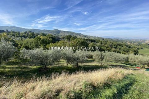 Villa a Paciano, Perugia, Paciano - € 23.000 | Ref: TE70-474882 - foto 2