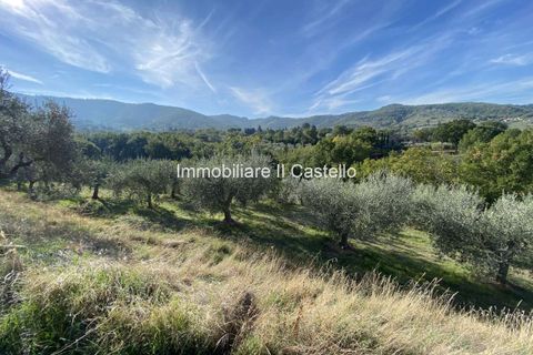 Villa a Paciano, Perugia, Paciano - € 23.000 | Ref: TE70-474882 - foto 3
