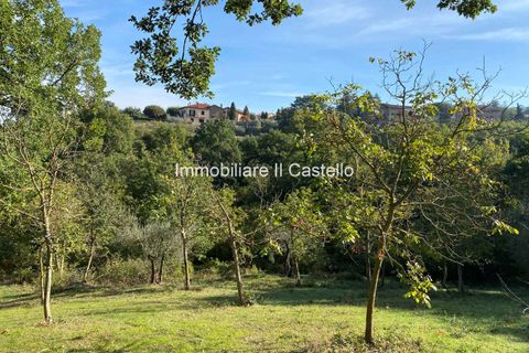 Villa a Paciano, Perugia, Paciano - € 23.000 | Ref: TE70-474882 - foto 4