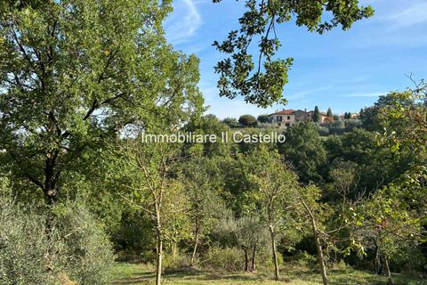 Villa a Paciano, Perugia, Paciano - € 23.000 | Ref: TE70-474882 - foto 5