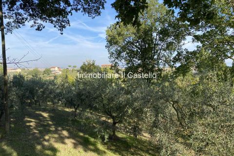 Villa a Paciano, Perugia, Paciano - € 23.000 | Ref: TE70-474882 - foto 6
