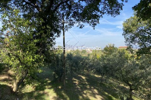 Villa a Paciano, Perugia, Paciano - € 23.000 | Ref: TE70-474882 - foto 7