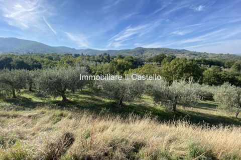 Villa a Paciano, Perugia, Paciano - € 23.000 | Ref: TE70-474882 - foto 8