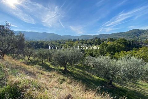 Villa a Paciano, Perugia, Paciano - € 23.000 | Ref: TE70-474882 - foto 9