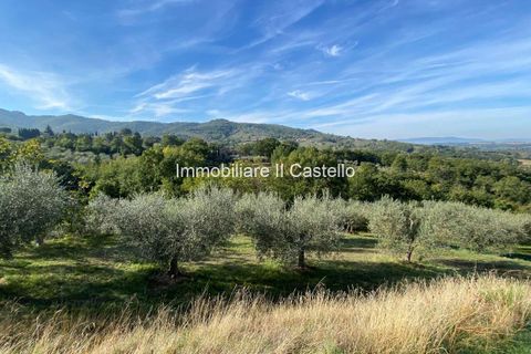 Villa a Paciano, Perugia, Paciano - € 23.000 | Ref: TE70-474882 - foto 10